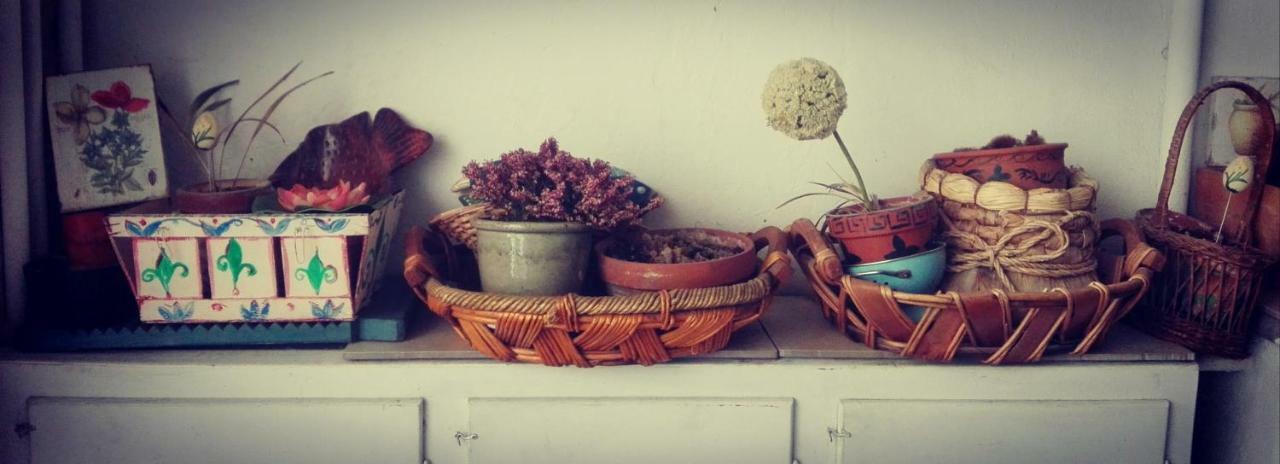 Hand Decorated House With Court Φλωρεντία Εξωτερικό φωτογραφία